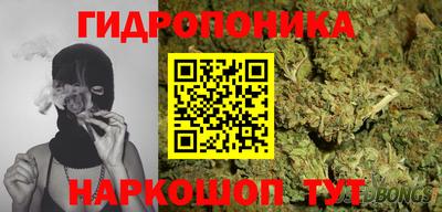 jwh Вязьма