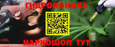 индика Вязники