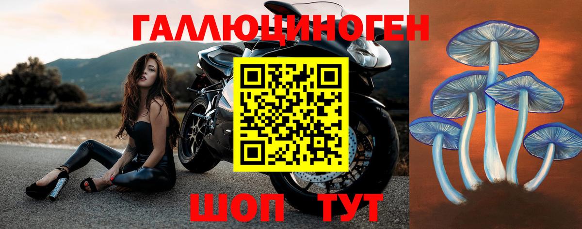 Владивосток  Псилоцибиновые грибы прущие грибы  Вход с VPN 