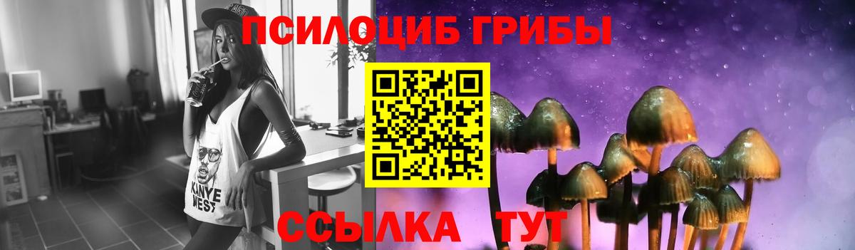 Галлюциногенные грибы Cubensis Владивосток